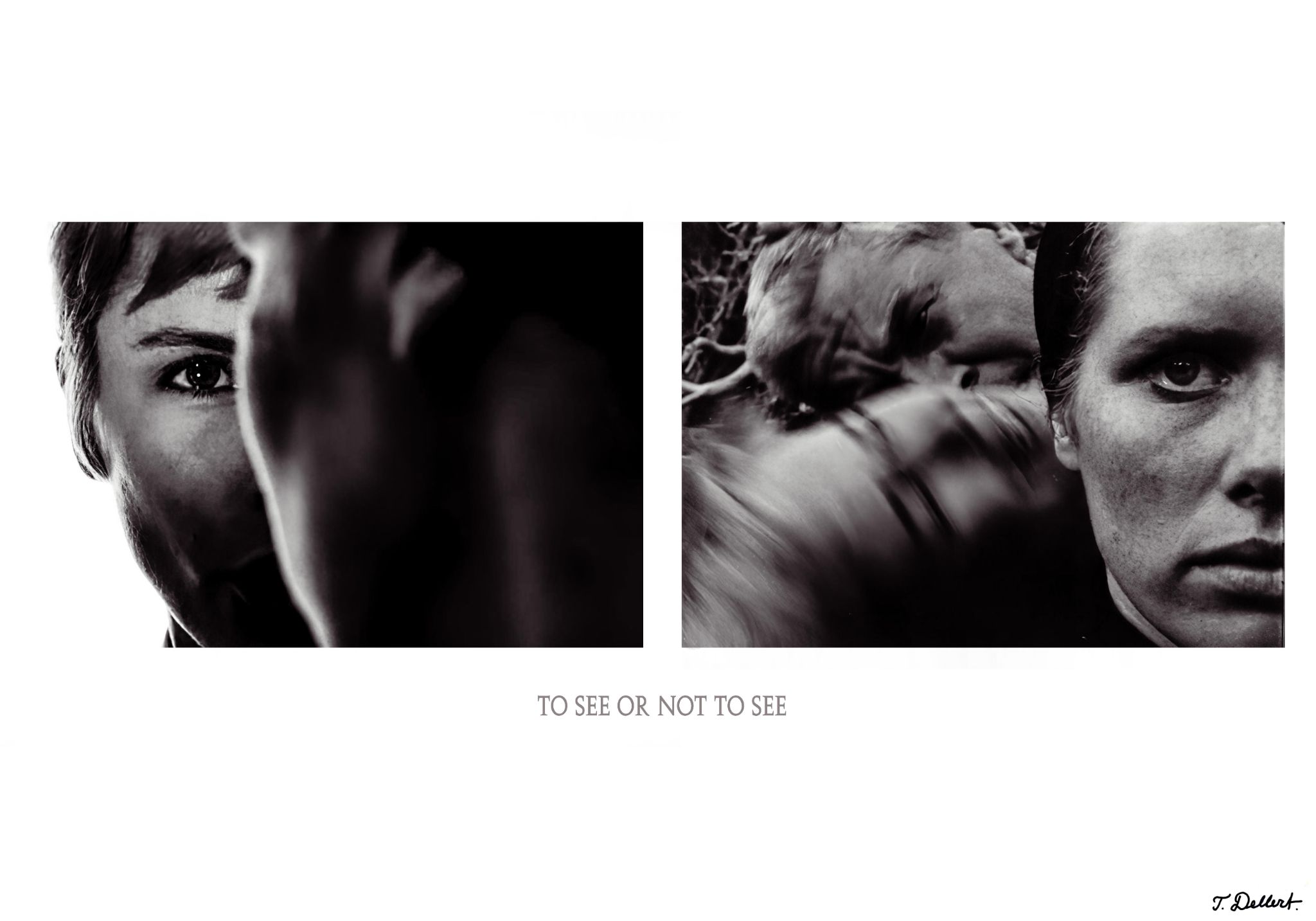 To See or Not to See  copy